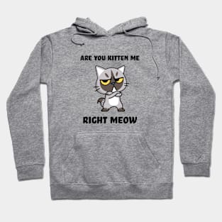 Are you kitten me right meow Hoodie